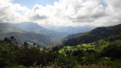 Anamudi Shola National Park